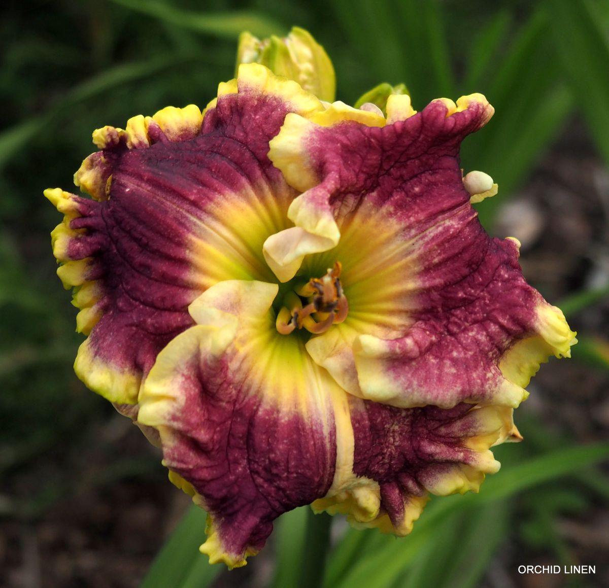 /cache/product/min_127-ceb71431257acaa85e131e68ad51e745.jpeg