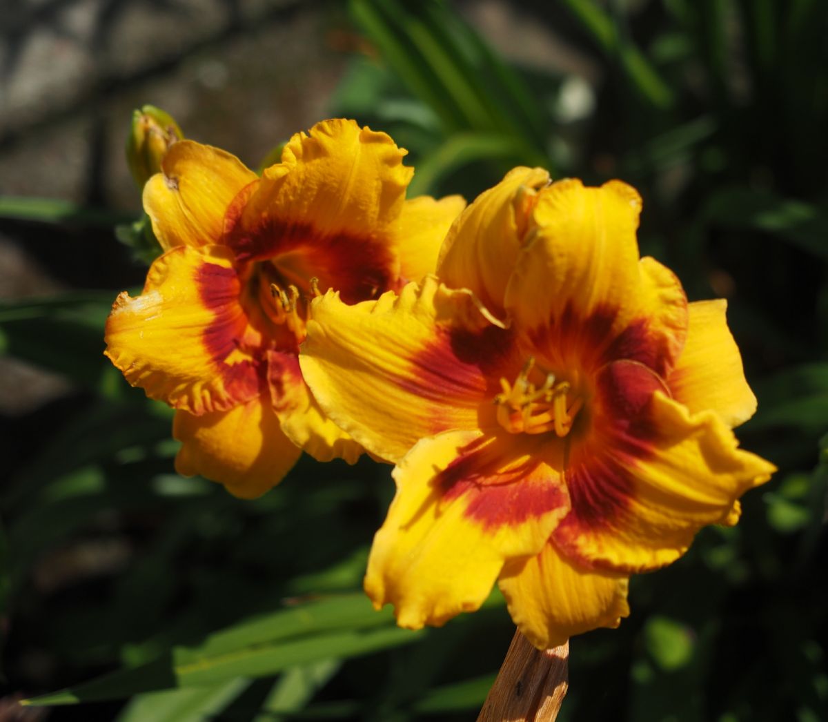 /cache/product/min_136-d6a53cb613cf66630bab30d0a395d65f.jpeg