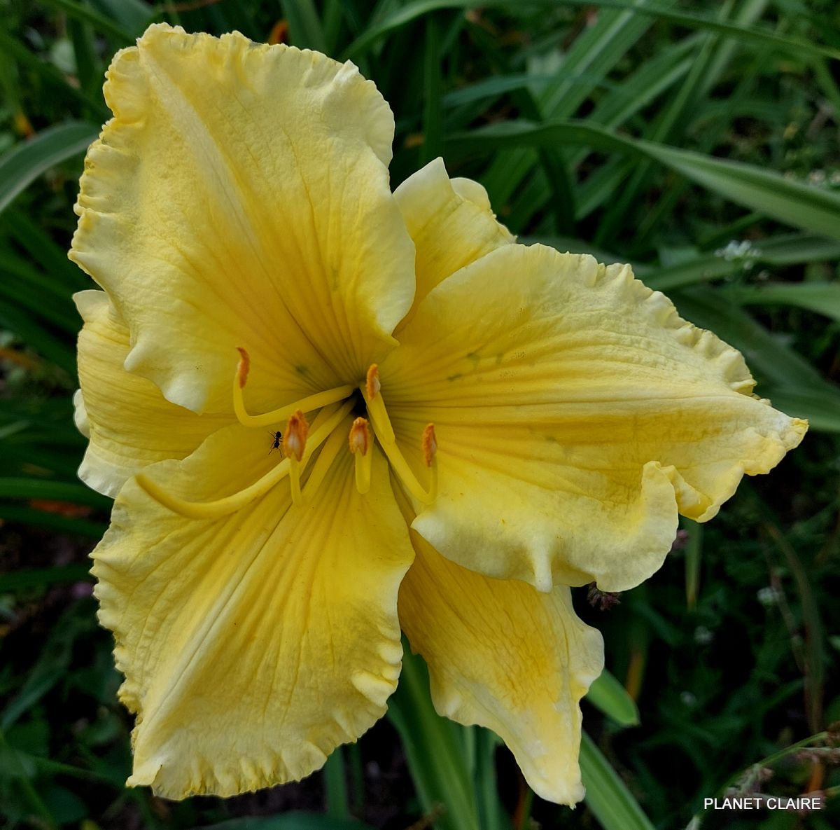 /cache/product/min_160-e16799a46ddd97db42ff3bf51ba40e4a.jpeg