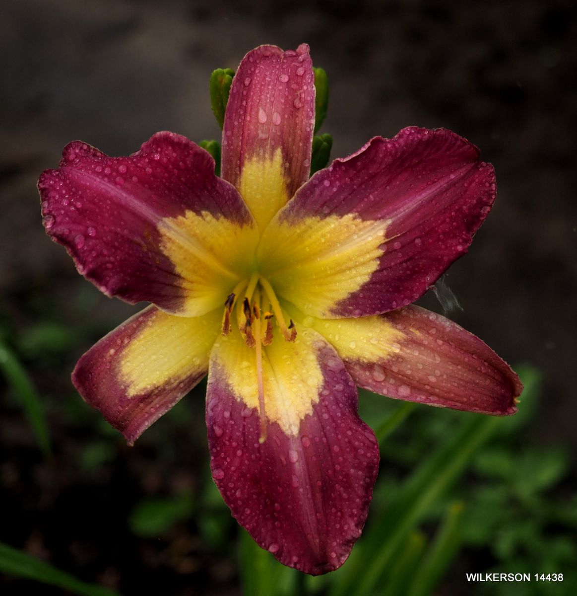 /cache/product/min_208-a9f1b1601bec7783953de0eb4e248f52.jpeg