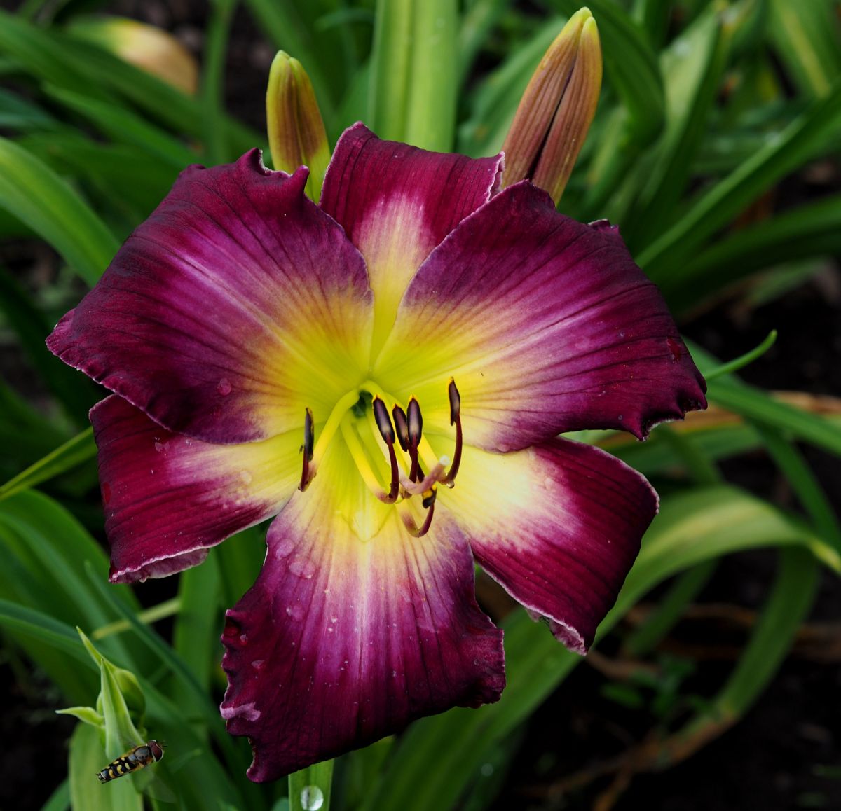 /cache/product/min_218-a8453682f99ec69be76b806dfc01c85d.jpeg