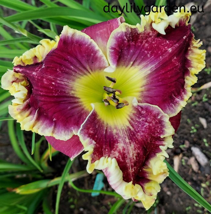 KINDRED JEWEL
/cache/product/min_287-3cae7db65ae1c7354707c48642deae2b.jpeg