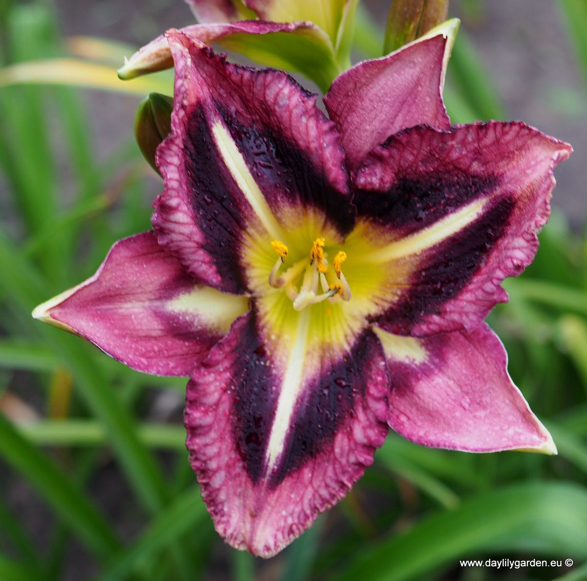 /cache/product/min_329-afe13d06a57a5c31b15468c3f7d51a41.jpeg