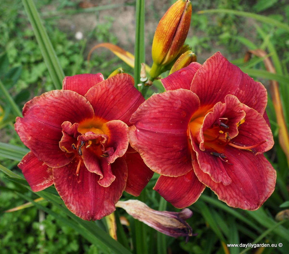 LAYERS OF LOVE
/cache/product/min_397-077b4c22b4e5ba145dbfaca40722fc52.jpeg
