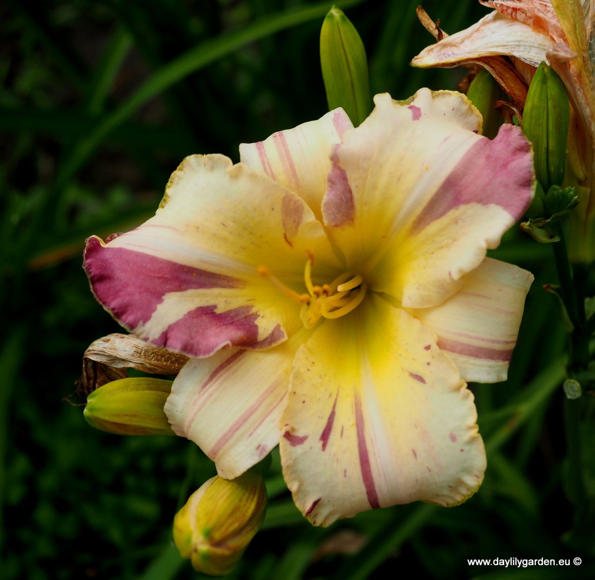 BLAME IT ON THE RAIN /cache/product/min_405-0e8775cac5726662110db4bda8656c82.jpeg
