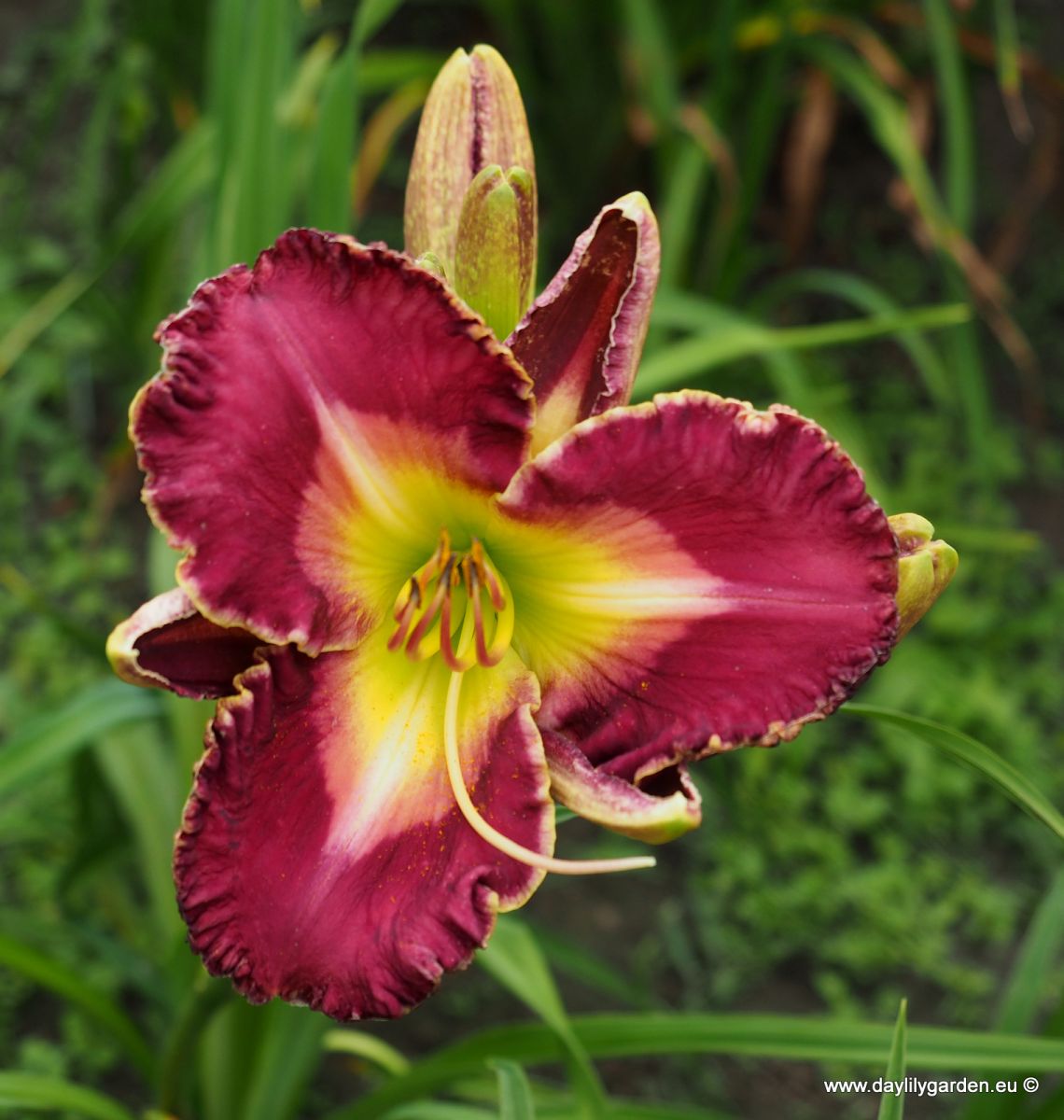 /cache/product/min_411-00a83c5828c82c95664d96a9ed6d7d5d.jpeg